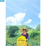 농업회사법인홍천화방다원주식회사 | 꽃차시대 메리골드 꽃잎차 23g 국내산 홍천화방다원 가마솥덖음 친환경 : 마켓따닥