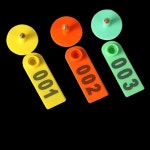 이표 소 돼지 번호표 장착기 귀 개체 전동 인식표 가축 태그 7 양용 귀표 오렌지레드100세트 : 퍼플피치s