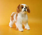 킹 찰스 스파니엘 King Charles Spaniel : 마이온리독