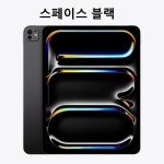 애플 정품 2024 아이패드 프로13 M4칩 256GB 스탠다드 글래스(스페이스 블랙) : 팜로하스