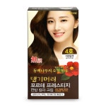 새치염색약 댕기머리 포르테 프레스티지 한방칼라크림 60g 모발 윤기 셀프 염색약 : 주식회사 필즈