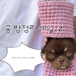 [공방정리이벤트2] only1 뜨개가방 리본가방 핸드메이드가방 : 덕솜이네