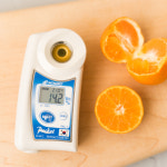 제주 신품종 달콤달콤 미니향 스테비아급 고당도 만감류 2kg : 잇슈농장