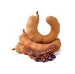 [비엠케이트레이드]건 타마린드 : 비엠케이트레이드