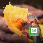 에이푸드 해남 꿀고구마 베니하루카 농장직송 : 에이푸드