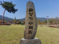 대한석재 간판석 표지석 교훈석 조형물 : 대한석재