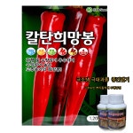 고추씨앗 칼탄희망봉 고추종자 1200립 / 복합내병계 고추 최고의 고추품종 : 농사의신 씨앗백화점