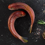 참옥돔(실속형) 1Kg 5마리 중 : 주식회사 청정해