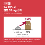 닥터솔루션 철분35 임산부 산모 비헴철 철분제 30정, 1개 : 팜스빌