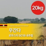 [생두 20KG] B2B 우간다 로부스타 SC18 내추럴  : 파스칼 빈스