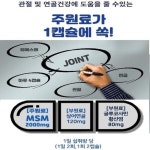 MSM 관절연골건강 상어연골 글루코사민 손목관절 120캡슐 : 하이민트샵