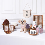 [대여] 강아지 생일파티 고양이 생일상 돌잔치 애견 용품 세트 전통핑크 : 댕데이