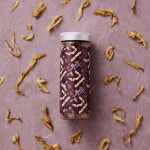 동해형씨 EASTREAT 하프 트릿 7종 : 동해형씨