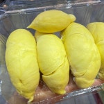프리미엄 생두리안 항공직송 고당도 통 두리안 태국 베트남 2-2.5kg : 온푸릇