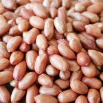 순돌이네 볶음 조미 땅콩 500g : 순돌이네