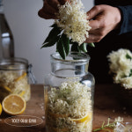 꽃식초 만들기 세트(10인 이상 단체) : 창기체험휴양마을협동조합