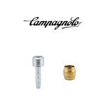 [캄파놀로] 디스크용 올리브 세트 - 슈퍼 레코드 캄파 유압 브레이크 부품 : 날스바이크