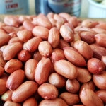 순돌이네 볶음 조미 땅콩 500g : 순돌이네