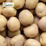 2024년 햇감자 수미 알 감자 자영 두백감자 홍감자 3kg 5kg 10kg : 밀스온