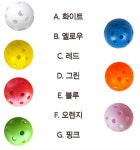 플라스틱 골프공 골프 어프로치 스윙 연습공 훈련공 피클 플로어 볼 (A0687) : 꼬슈 COSSU