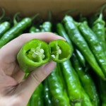[당일경매] 오이맛 고추 아삭이 고추 2kg, 1개 : 한서농산2호