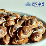 생산자 직판  벌교 새꼬막 1kg 특대 내일도착 : 반도 수산