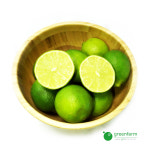 생 라임 3kg (30~36개) : 싱싱채소 그린팜