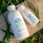 제주아침미소목장 팜타입요구르트 500ml 자유방목동물복지원유사용 신선 아침대용 플레인 쾌변요거트 : 제주 아침미소목장