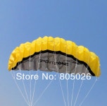 스턴트 듀얼 2 서핑 부드러운 플라잉 파워 공장 연 잉어 스포츠 야외 파라포일 5m 라인 4pcs Kites : 발마커머스