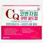 코엔자임 큐텐 골드업 500mg x 90캡슐 유한m Q10 비타민 A B C E : 주식회사 필즈