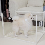 반려동물 산소방 대여 강아지 고양이 산소 발생기 렌탈 의료용 휴대용 울산 부산 경주 : 네오투메디