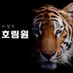 하얼빈 동북 호림원 타이거파크 입장권+관광버스 : 한길여행사
