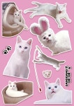 【댕댕고고】 반려동물 스티커 제작 맞춤 굿즈 다꾸 폰꾸 강아지 고양이 포토 스티커 : 댕댕고고