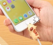 동물 캐릭터 케이블 보호캡 충전기 케이블 커버 덮개 바이트 프로텍터 C타입 (A0770) : 꼬슈 COSSU