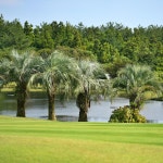 제주도 골프여행 패키지 1박2일 45홀 제주 해비치cc 스프링데일CC 골프텔 2인조인 : 이든 eden