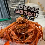 당일조업 울진 후포리홍게 3+1kg 선주직접발송 (자숙)찜 : 후포수산특별시