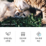 페테리안 오티플러쉬 동물병원전용(3in1)귀세정제, 저자극 진정, 수렴 건조, 목욕후, 평소위생관리, 병원치료병행, 냄새 가려움, 150ml... 