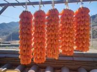 함양곶감 지리산 타래 곶감 줄곶감 고종시 : 트리플베리삼남매딸기농장