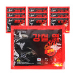 강철핫팩 150g 10개 : 에이스쇼핑