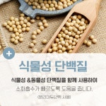 수제 쿠키 슈미네드파리 쌩에두 프로틴 단백질 쿠키 저당 스테비아 쿠키 90g : 부바 베이커리