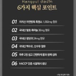 국내산 자연방목 흑염소 진액 추출액 분말 참당귀 백수오 산수유 : 수상한 알약상점