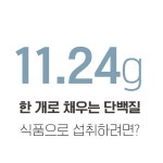 수제 쿠키 슈미네드파리 쌩에두 프로틴 단백질 쿠키 저당 스테비아 쿠키 90g : 부바 베이커리