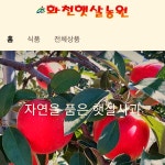 강원도 꿀사과 못난이사과 부사 사과선물세트 5kg : 화천햇살농원