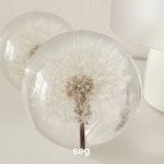 민들레문진 홀씨 paperweight 책 누르개 생화 플라워 꽃 : 세그