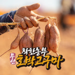 [착한농부] 기영민 무안 황토땅 호박고구마 5kg #속노란고구마 : 착한농부상회