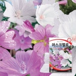 머스크멜로 50립 / 다년생 꽃씨 종자 꽃밭 꽃씨 정원 조경 : 신세계식물병원