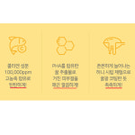 코리아나 쉬니즈 허니 콜라겐 앰플 50ml, 2개 : august4korea
