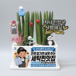 세탁소 가게오픈선물 창업축하화분 매장인테리어소품스투키화분 개업식미니화환 : 띵팟