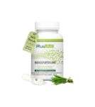 PlusVive Magnesium 마그네슘 700mg,365캡슐 : 본비타 스토어