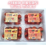 망고향 스테비아 방울 토마토 토망고 단마토 싱싱 탱탱 달콤 500g, 4개 : 퍼니몽마켓